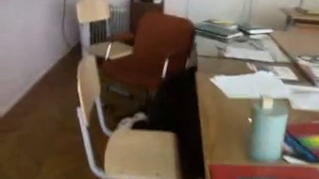 25122008039 смотреть онлайн