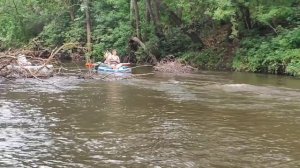 Сап-прогулка по р. Боровка в Бузулукском боре (Нацпарк в Оренбургской области) с элементами джипинг