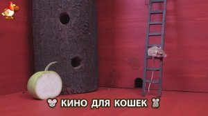 Видео для кошек про крысок развлекать питомцев 🐭🐀😂 (62)
