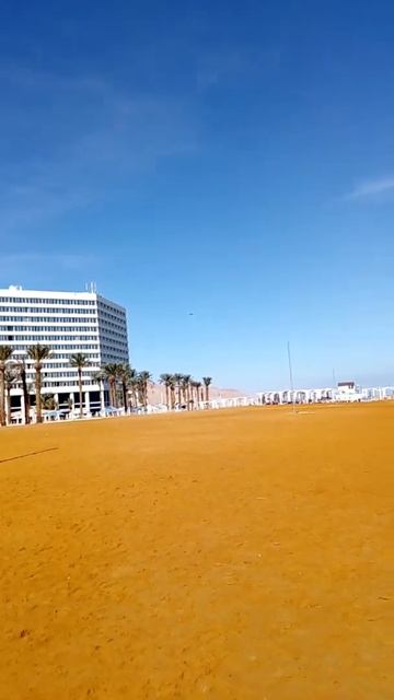 Спа отель и Отпетые машенники смотреть онлайн