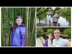 ВЛОГ ШТОРМ/ЮЖНЫЕ КУЛЬТУРЫ /ВЫМОКЛИ ПОД ЛИВНЕМ