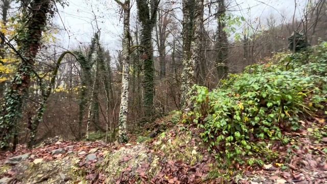 Курорт Красная Поляна, ноябрь 2023. День первый смотреть онлайн