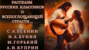 СБОРНИК ИЗ 5 РАССКАЗОВ РУССКИХ КЛАССИКОВ, читает Nelli Muse