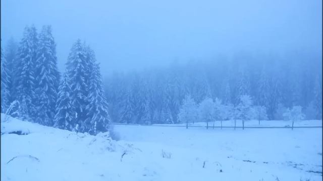 Воловець, Воловець... Пісенька про Воловець