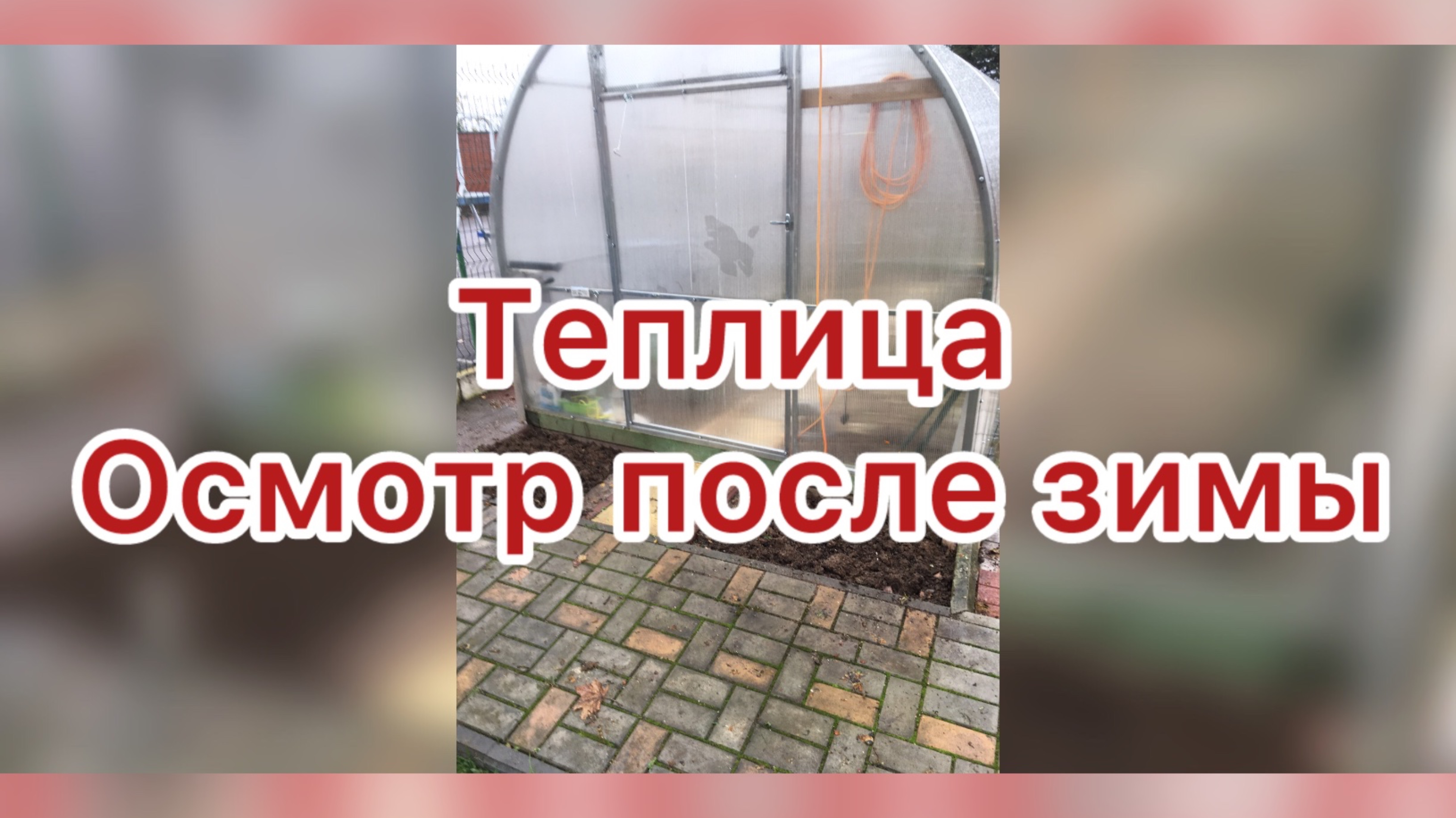 Теплица. Начало
