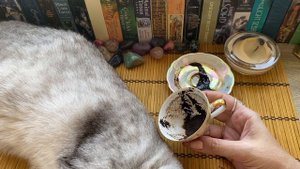 СКОРПИОН ♏️ ваш ИЮЛЬ ❗️Знаки на кофейной гуще ☕️