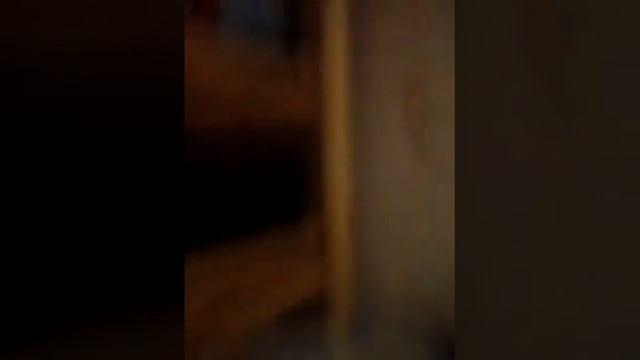 Фредди фазбер