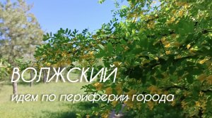 Волжский 25.04.2025 О чистоте улиц на периферии