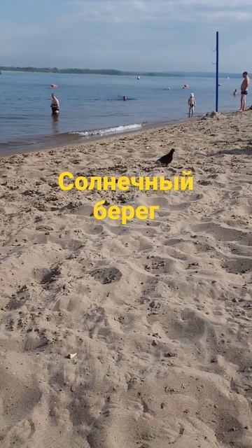 Пляж. Самара. Лето 2023 смотреть онлайн