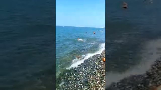 Сочи- Адлер, спасатель смотреть онлайн