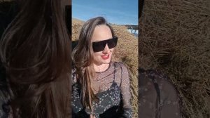 Обзор фермы альпак Кисловодск