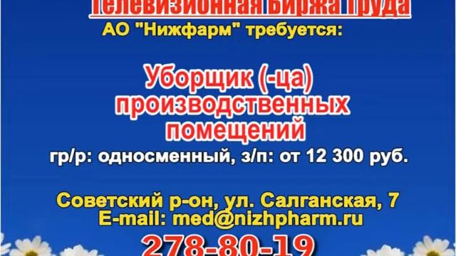 17 августа_13.15_Работа в Нижнем Новгороде_Телевизионная Биржа Труда смотреть онлайн