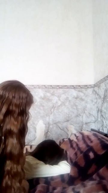 Пародия на Отель Элеон/ Петя изминил Даше / Даша и Юля/ Катя и Алёна смотреть онлайн