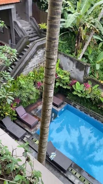 Убуд. Бали. Индонезия. Отель «Alam Terrace Cottages”. #путешествия #бали смотреть онлайн