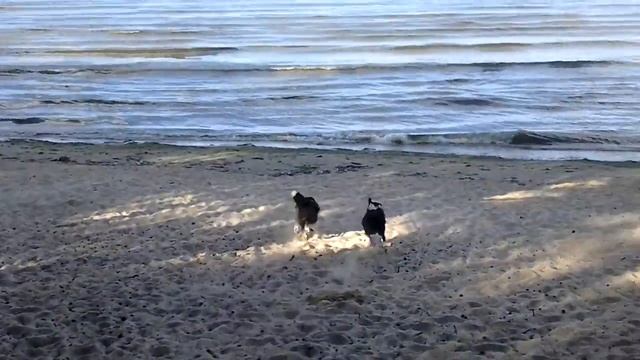 Бордера на море смотреть онлайн