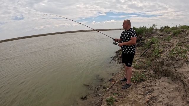 Сырдарья! Рыбалка ! Дача! Кукуруза спасла рыбалку! Сазан! #youtube #2024 #shorts #short #fishing смотреть онлайн