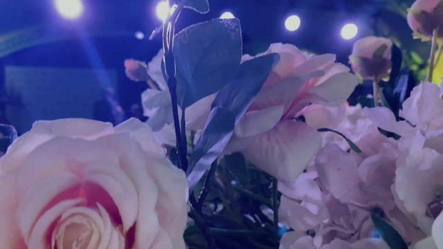 Ваше мероприятие в Radisson Ulyanovsk смотреть онлайн