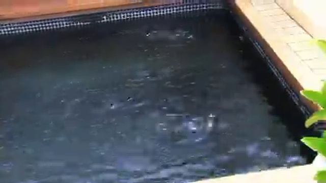 Hotel Barcelona Duquesa de Cardona отеля Барселоны