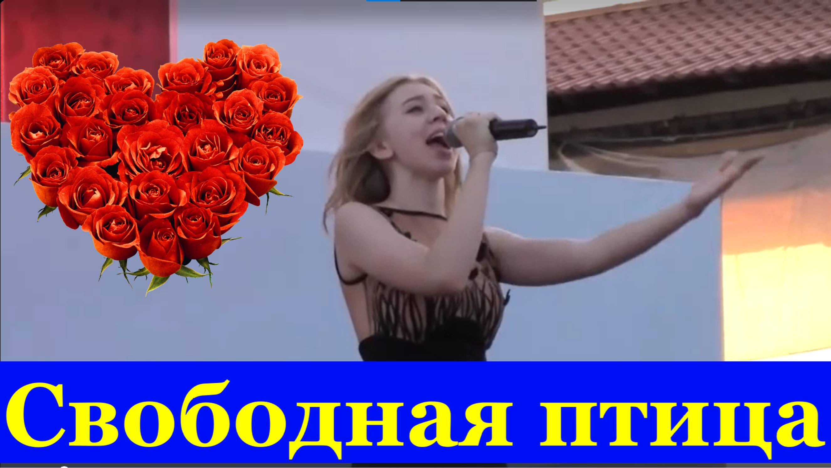 Песня Свободная птица Красивые песни про свободу и мечту