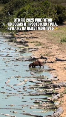 Не много юмора 😅