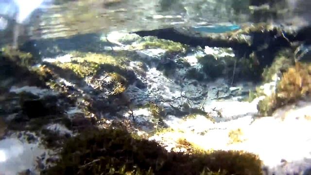 лесник в горах смотреть онлайн