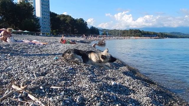 Пицунда 18 06 22 17.24 8010 смотреть онлайн