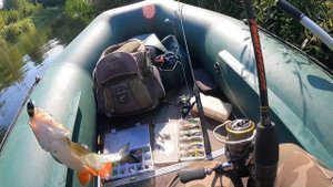 ТОП - 5 бюджетных КРЕНКОВ НА ГОЛАВЛЯ 2023