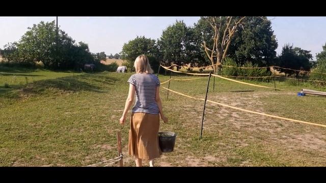 Жизнь в немецком хуторе. А где моя большая ложка? - Кормление лошадей Mein Landleben Pferdefütterun смотреть онлайн