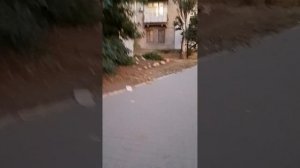 курорт Бердянск