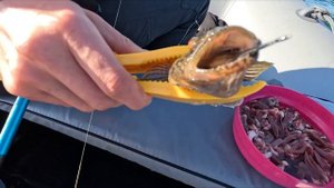 Азовское море радует уловом! Поймали пеленгаса и бычка на джиг и… змею?! 😱🐟