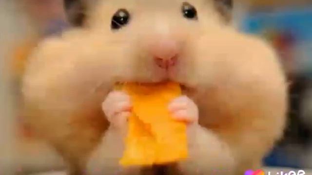 13 июля 2020 г. смотреть онлайн