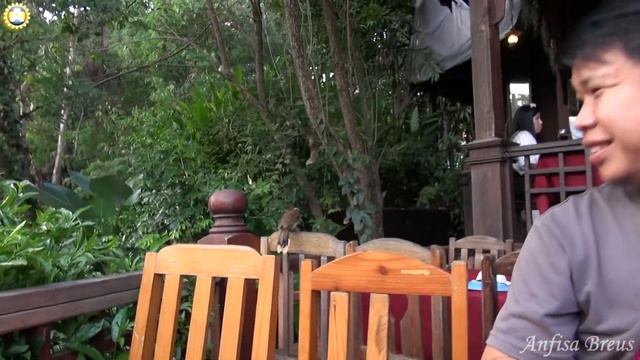 Huan Huay Kaew Restaurant. Птичка - алкаш. смотреть онлайн