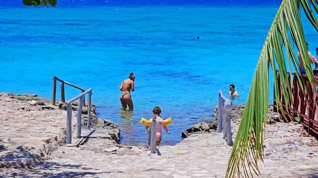 Тур на Карибское море. Крокодиловая ферма, снорклинг, лангусты. Отдых на Кубе 2024.