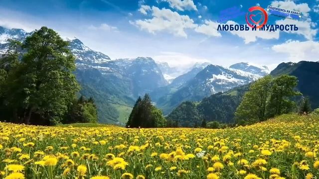 ТЫ БУДЕШЬ В ШОКЕ! Как Фотографии И Зеркала Влияют На Нашу Жизнь?! Познай Истину! | Никошо смотреть онлайн