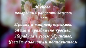 Флешмоб от подписчиков. И это всё о ней, о пеларгонии с любовью и пиететом.