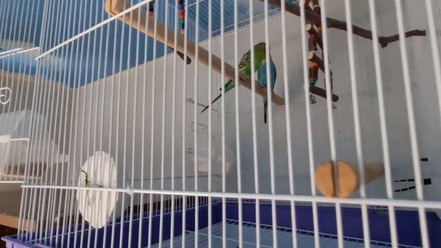 Полигон,упражнения//бытовуха//татуха//уборка по дому//шпаклюю ногти смотреть онлайн