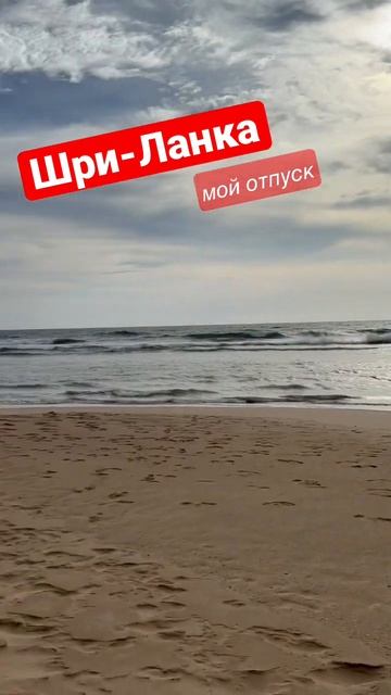 Давно я не отдыхала. #шриланка #отпускнаморе #подологмосква