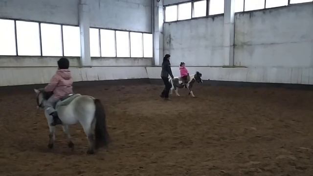 Галоп на вольту смотреть онлайн