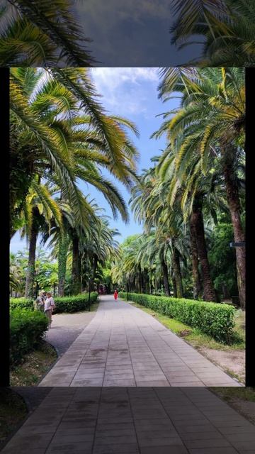 Абхазия, Приморский парк принца Ольденбургского в Гагре СЕГОДНЯ, конец июля, ЛЕТО 2024 смотреть онлайн