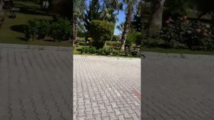 Отель Meder Resort