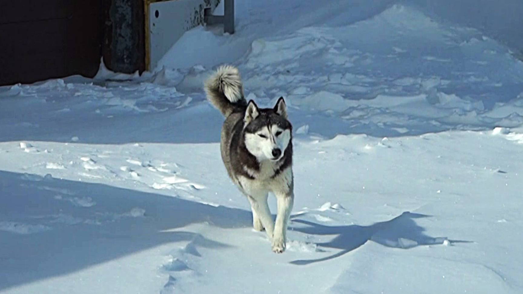 Большая область | 26.04.2025