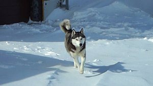 Большая область | 26.04.2025