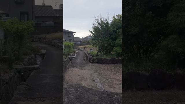 Утренняя прогулка по городку Клифсайд Харбор перед поездкой на пароме. Шодошима, Япония. 4К