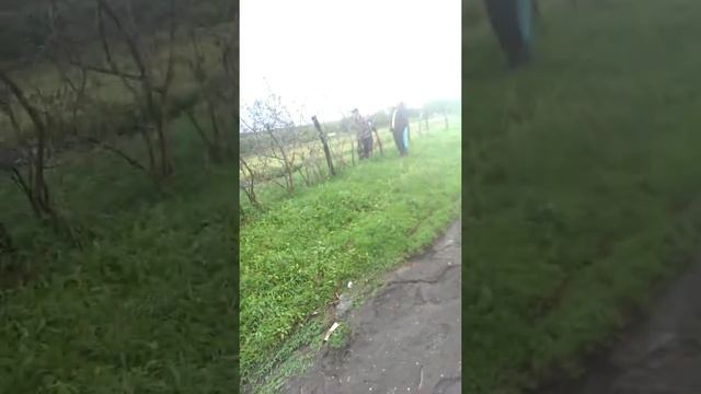 Талгар потоп 17.05.2017 смотреть онлайн