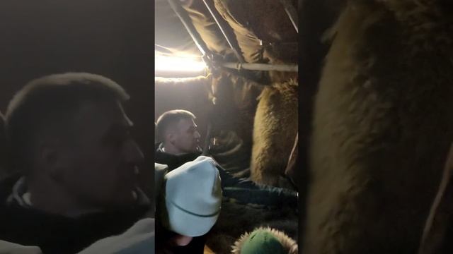 Хаски парк, Раменский р-н, Петровское смотреть онлайн