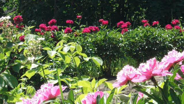 Фильм АЭРОПОРТ Ваенга смотреть онлайн