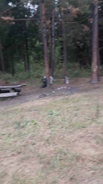 Кемпинг.