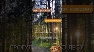 Eco Weekend на базе отдыха Миг  ♀️ Когда? 13-15 сентября (3 дня)
