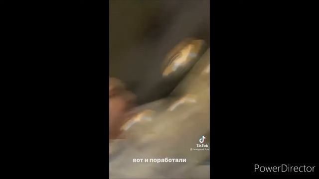 Лытвин вырубил училку за 2 смотреть онлайн