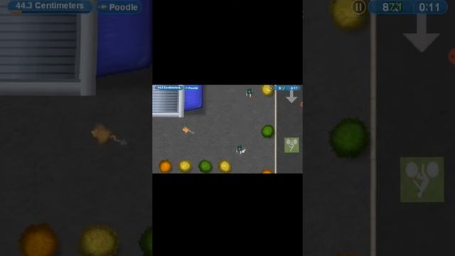 🐈 кот Кузя сел ресторан смотреть онлайн